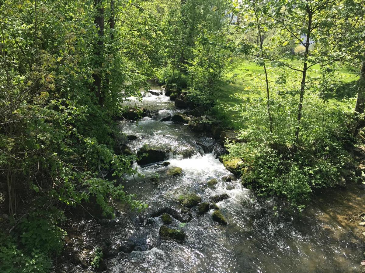 Grosse Und Helle 3 Zi Wohnung In Lossburg-Betzweiler, Schwarzwald Экстерьер фото